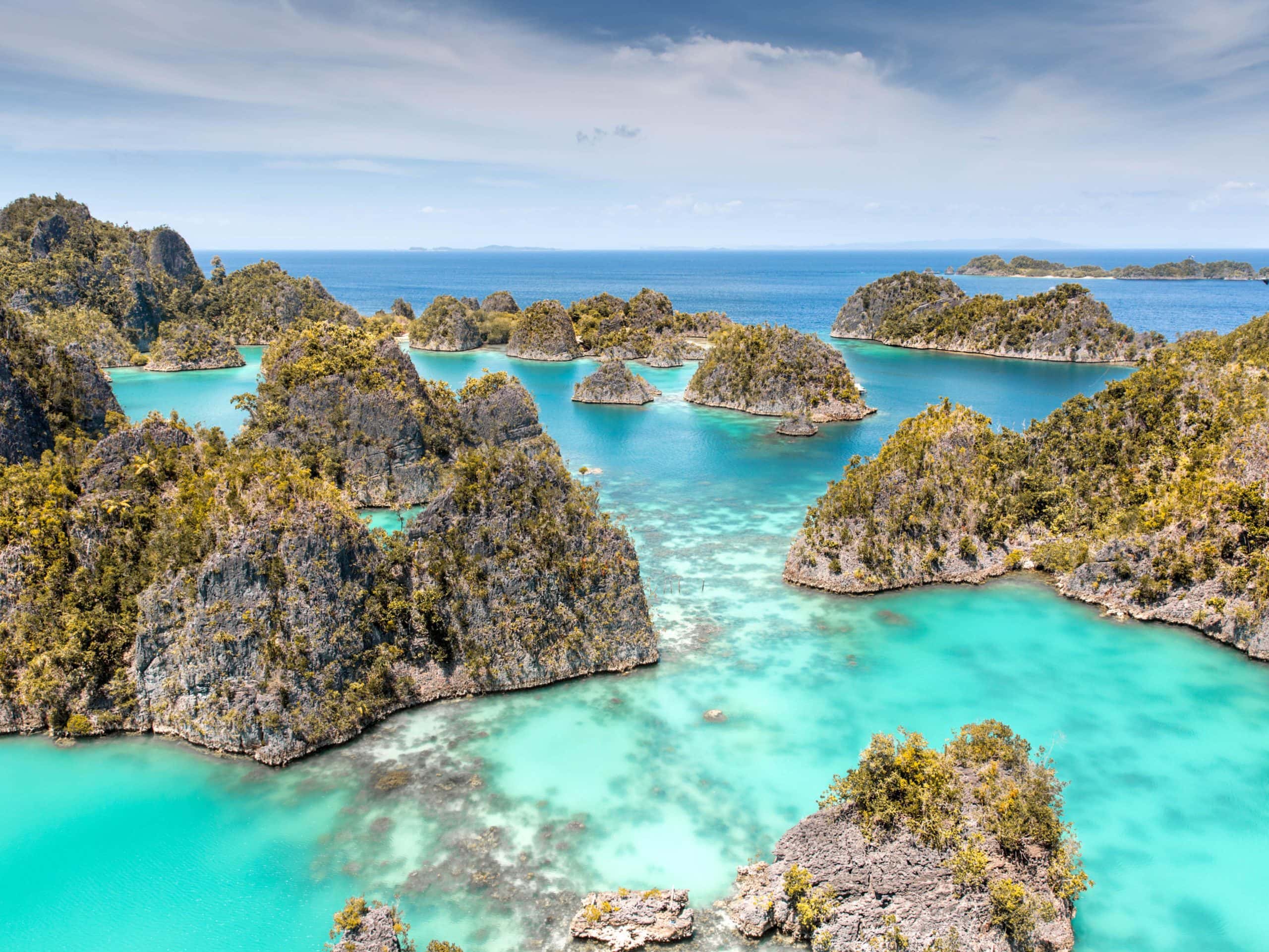 Raja Ampat: The Ultimate Travel Guide For Backpackers (2024)