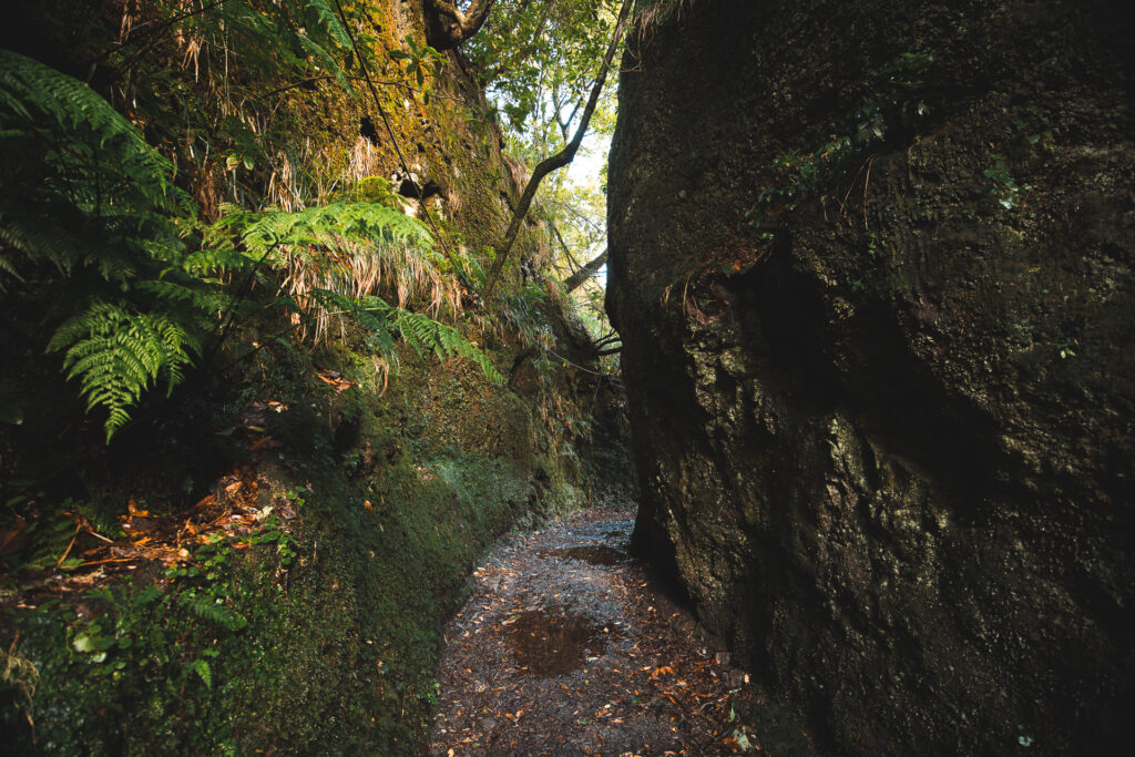 PR11 Vereda dos Balcões in Madeira – a full guide (2023)