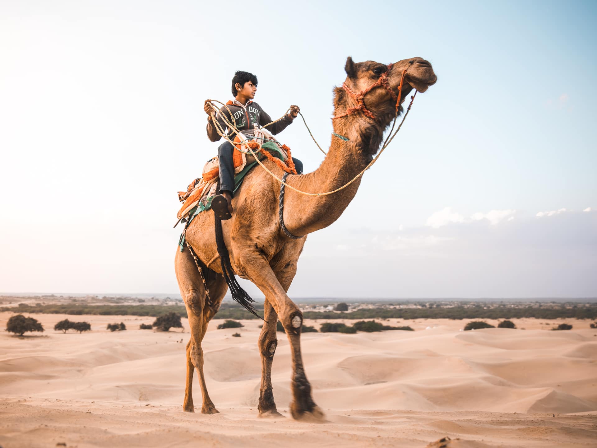 From Thrills To Spills The Untold Story Of Jaisalmer Desert Safari 2025 From Thrills To Spills The Untold Story Of Jaisalmer Desert Safari 2025